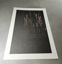 Load image into Gallery viewer, Hand selected Prints for framing
