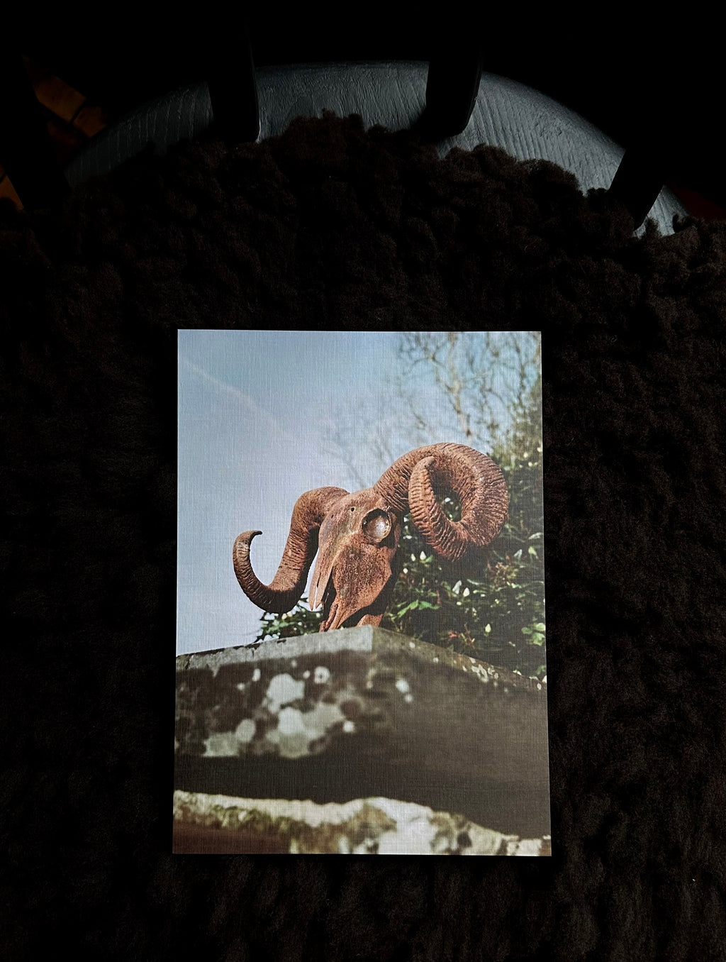 Hand-selected Prints