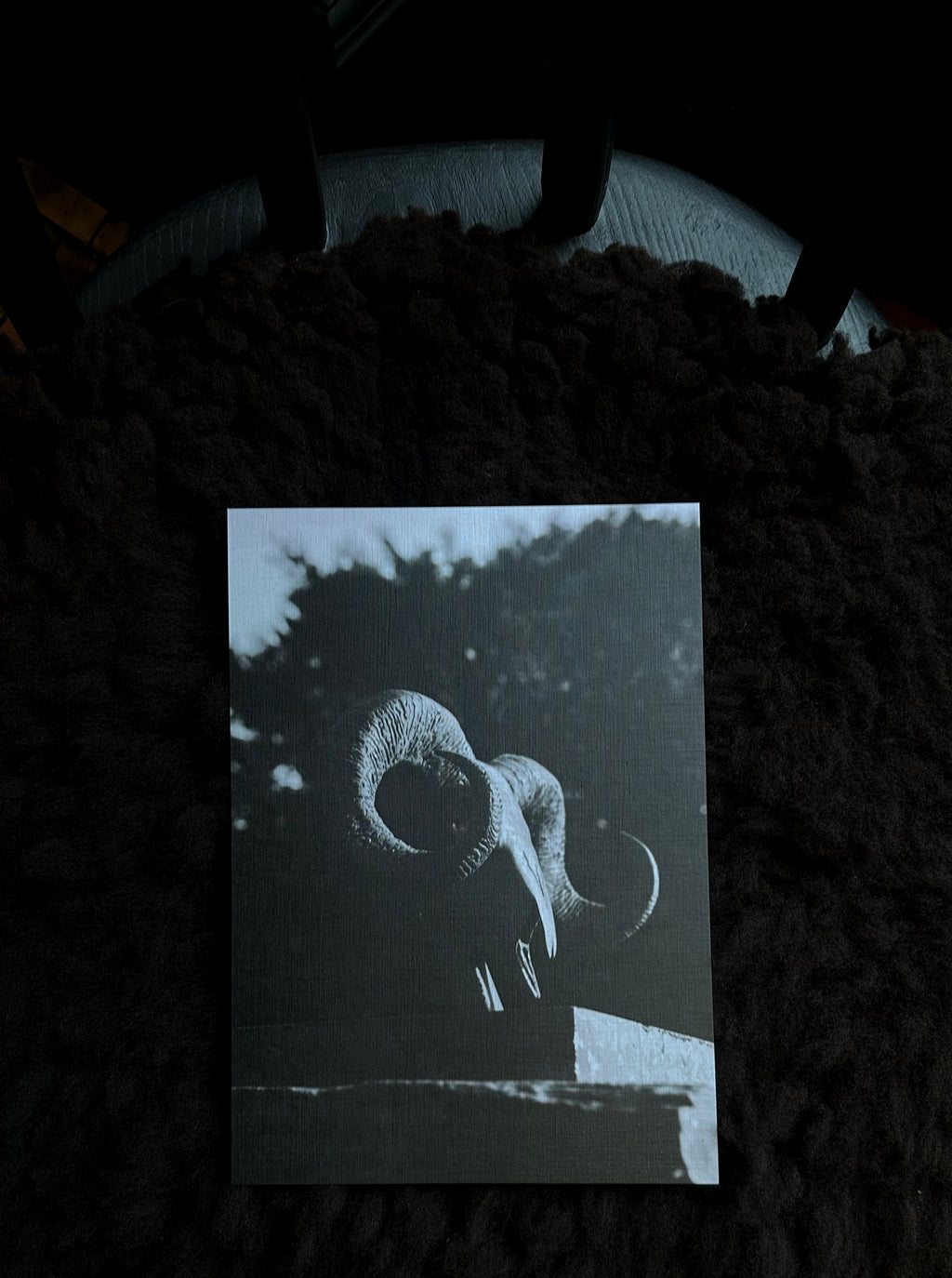 Hand-selected Prints