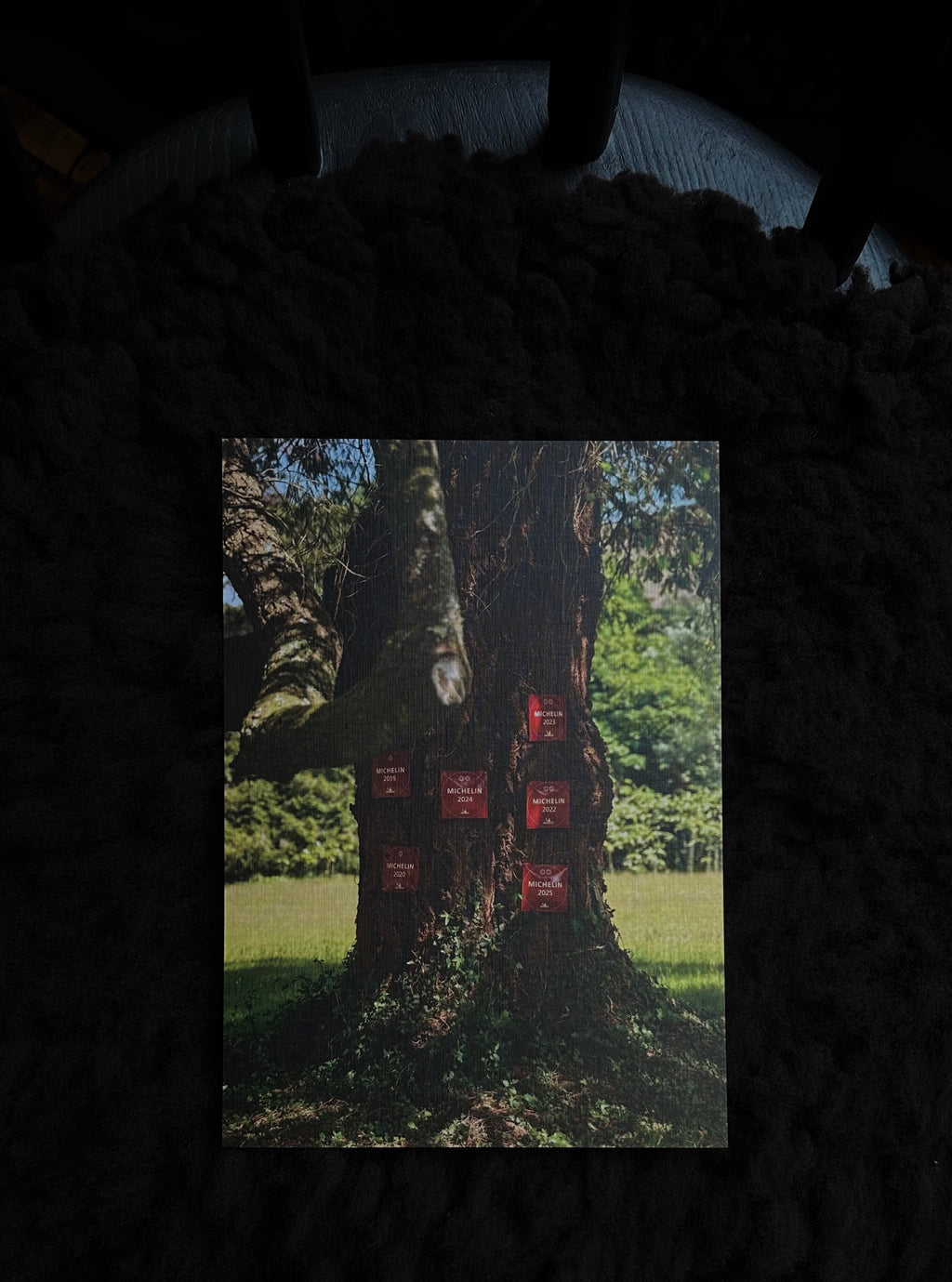 Hand-selected Prints