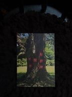 Hand-selected Prints